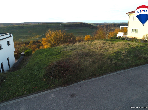 RE/MAX Immobilien DeLux Grundstück Wincheringen