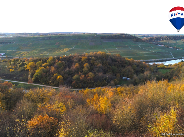 RE/MAX Immobilien DeLux Grundstück Wincheringen