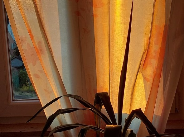 9d65fb1c-0474-41ee-be16-78813448dccb