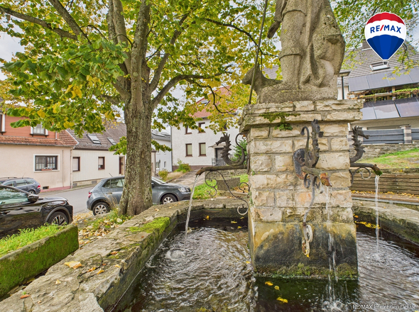 REMAX Immobilien DeLux Einfamilienhau Frontansicht Bebelsheim Mark Borowicz