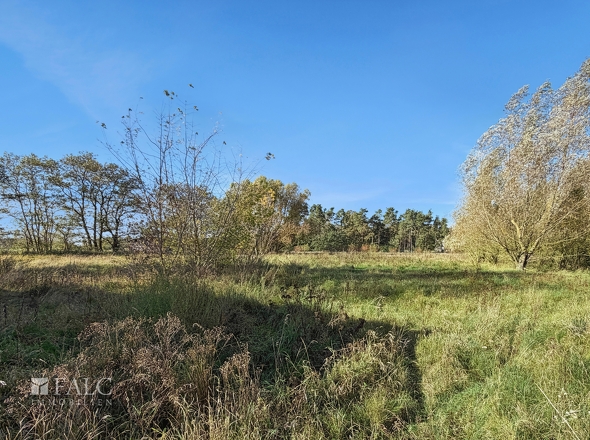 Grundstück Blick in Südwesten