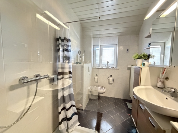 Modernes Tageslichtduschbad (DG)