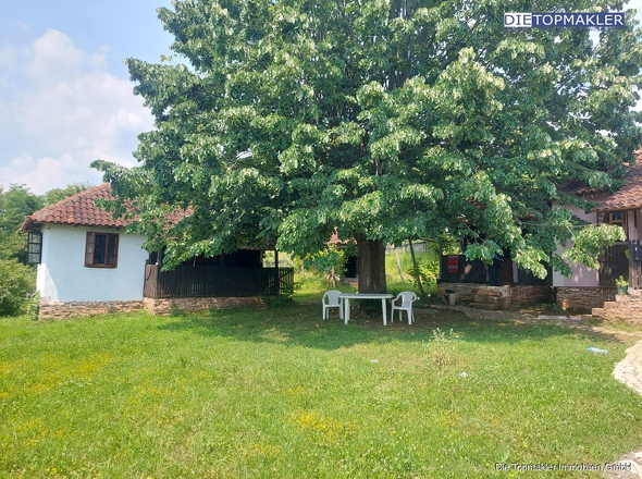 Hof - Alte Häuser unter der Linde (2)