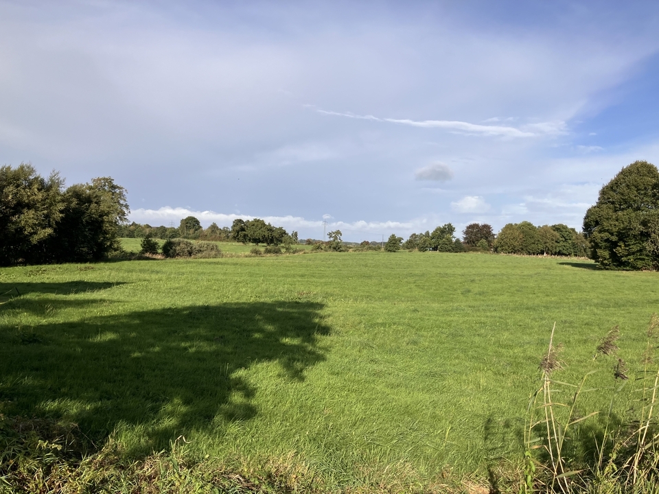 Blick Brookmerlander Straße