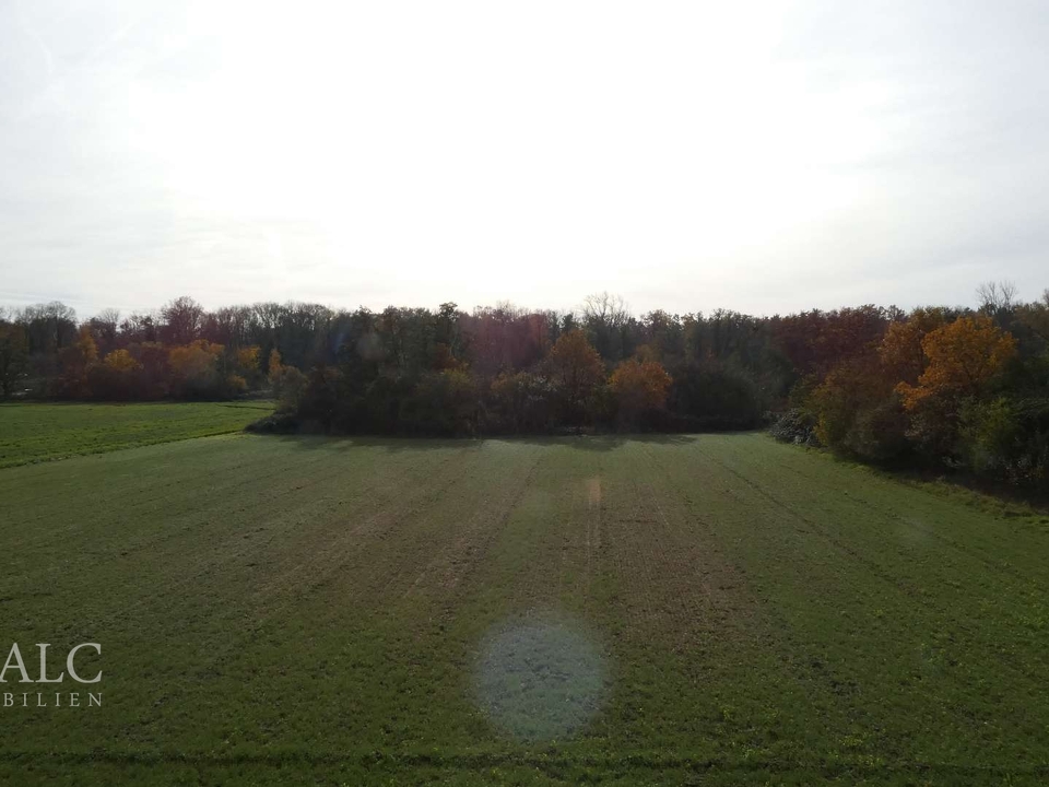 Blick über das Feld