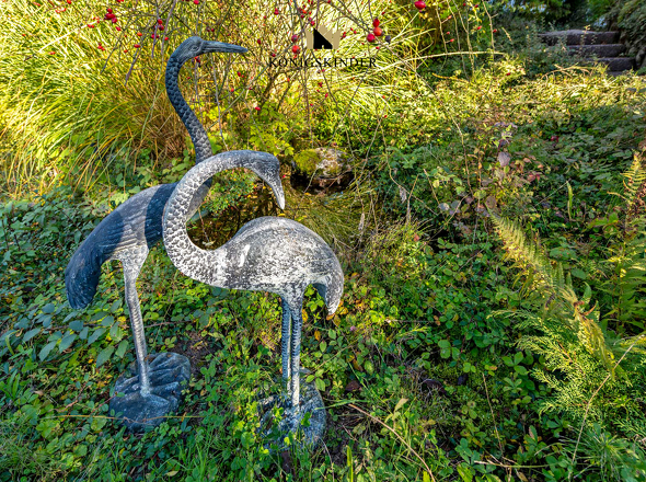 ...mit kleinem Teich und dauerhaft bleibenden Kraniche