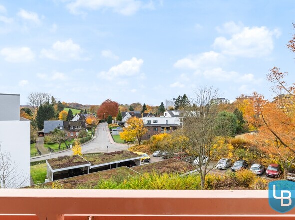 Toller Ausblick ins Grüne!