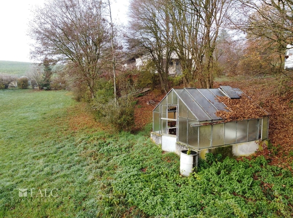 Garten mit Gewächshaus