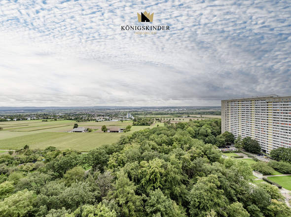 Asemwald Blick auf die anderen Gebäude