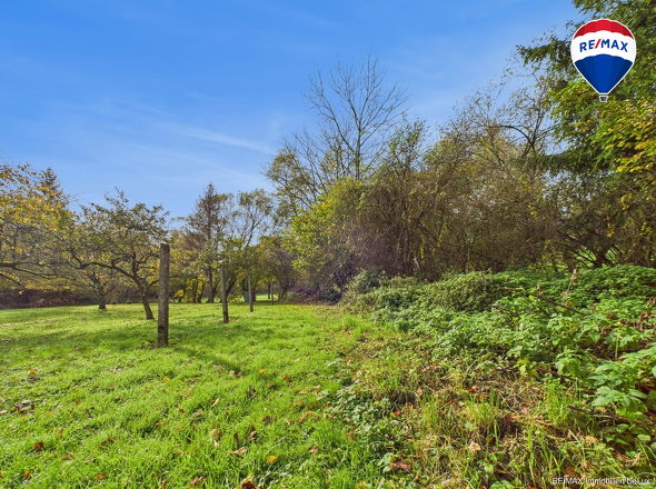 REMAX Immobilien DeLux Einfamilienhau Garten Ballweiler Mark Borowicz