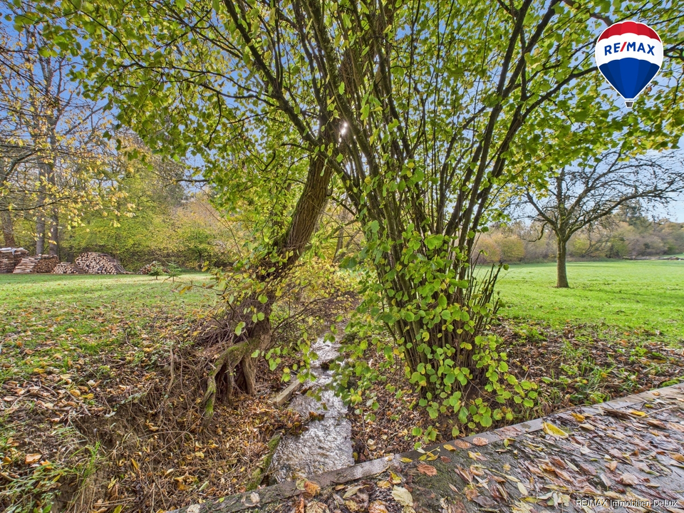 REMAX Immobilien DeLux Einfamilienhau Garten Ballweiler Mark Borowicz