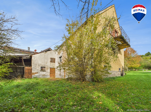 REMAX Immobilien DeLux Einfamilienhau Seitenansicht Ballweiler Mark Borowicz