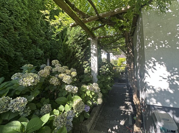 Außenbereich ums Haus