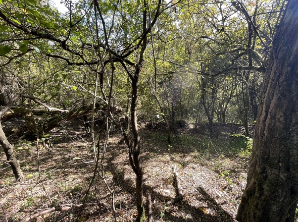 Grundstück oberer Teil