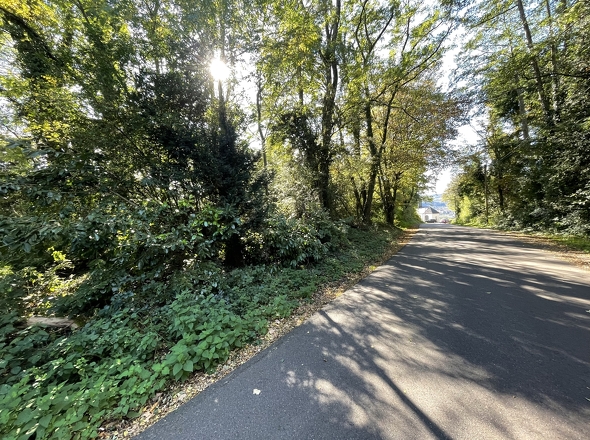 Eller Weg, Blick Richtung Weinberggrundstück