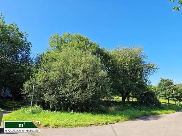 Flurstück 1302 - 305m²