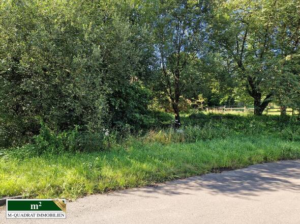 Flurstück 1300 - 207m²