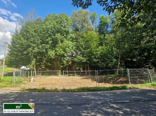 Flurstück 1099 - 1100m²