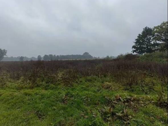 Baugrundstück Grevelau #4