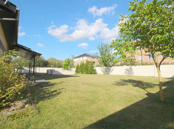 Blick in den pflegeleichten Garten