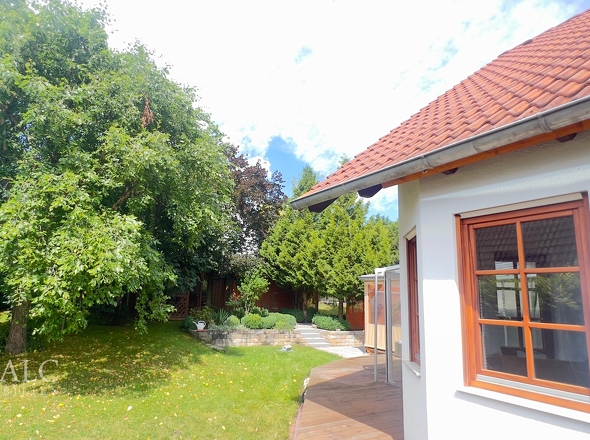 Blick seitlich in den Garten 