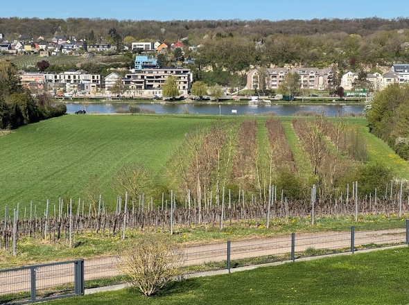 cbec0a6c-21ce-4a63-83cf-620d91d9e6db