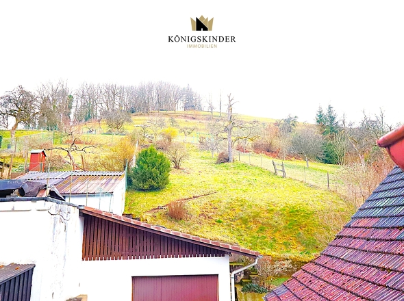 ...und zur eigenen Wiese.