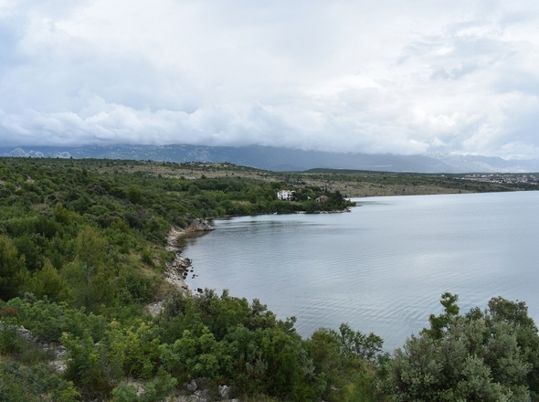 G356 - Panorama Scouting.