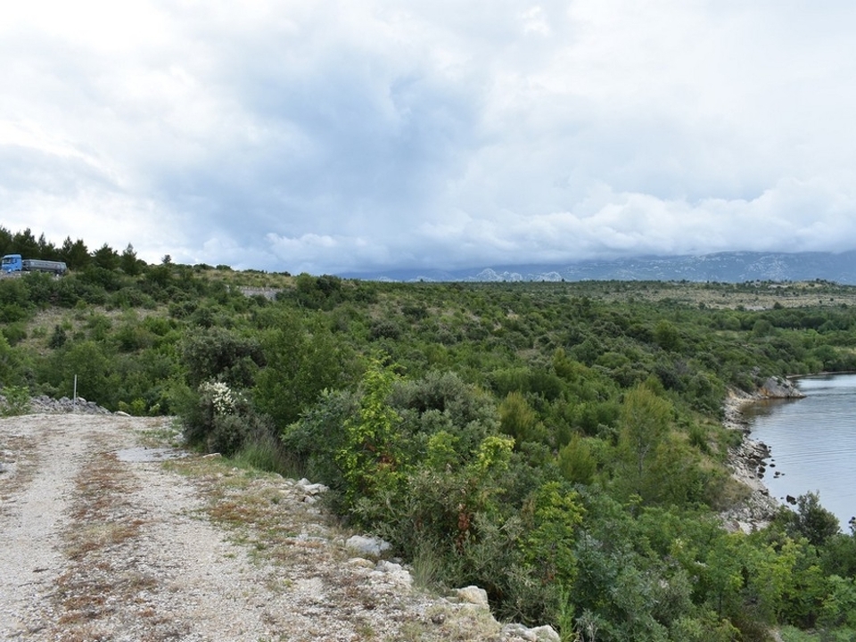 G356 - Panorama Scouting.