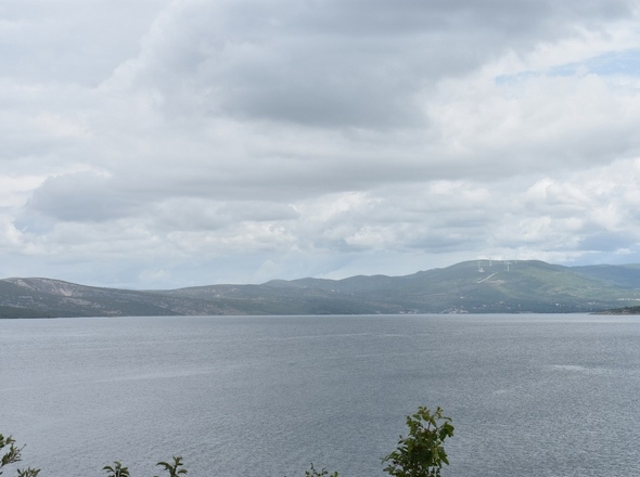 G356 - Panorama Scouting.