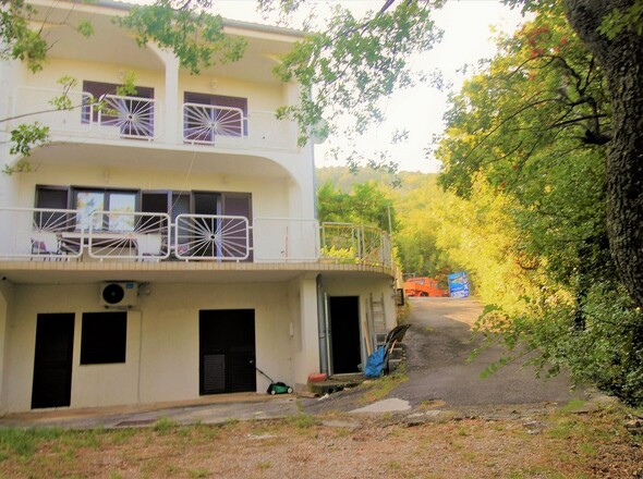 H1562 - Panorama Scouting.