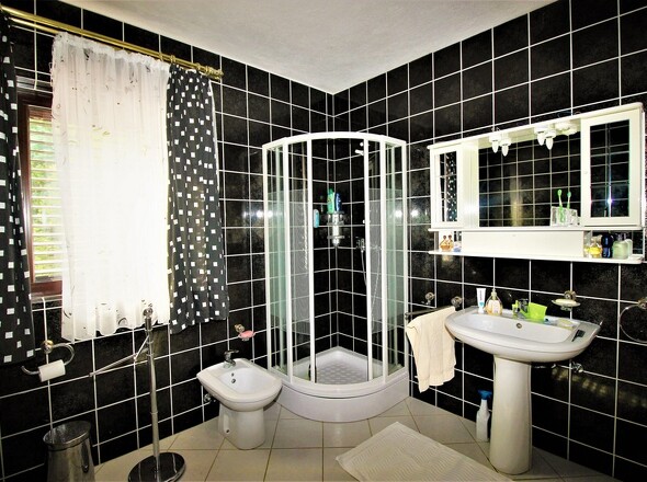 H1562 - Panorama Scouting.