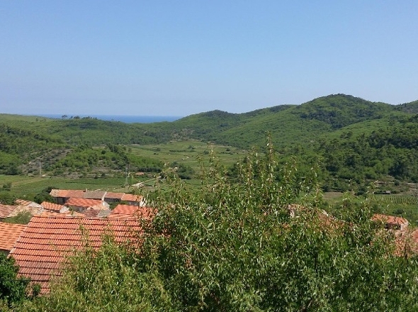 H1592 - Panorama Scouting.