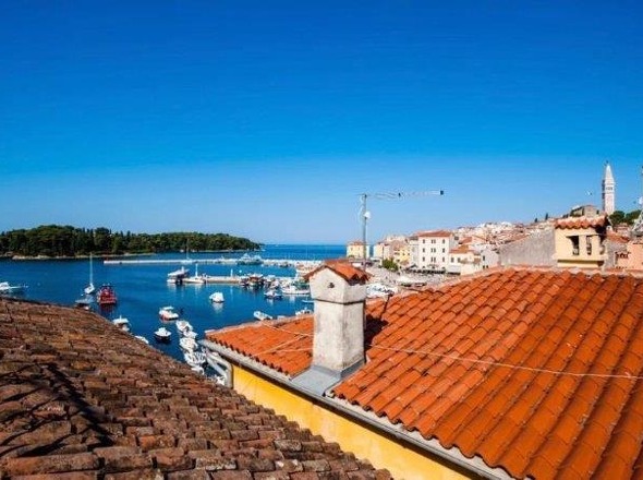 H1763 - Panorama Scouting