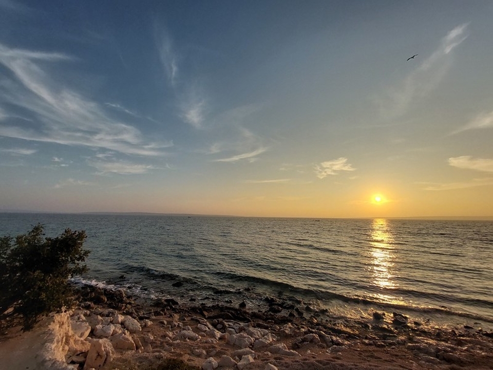 panorama-scouting-A2686-4