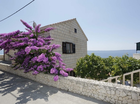 panorama-scouting-H2761-115