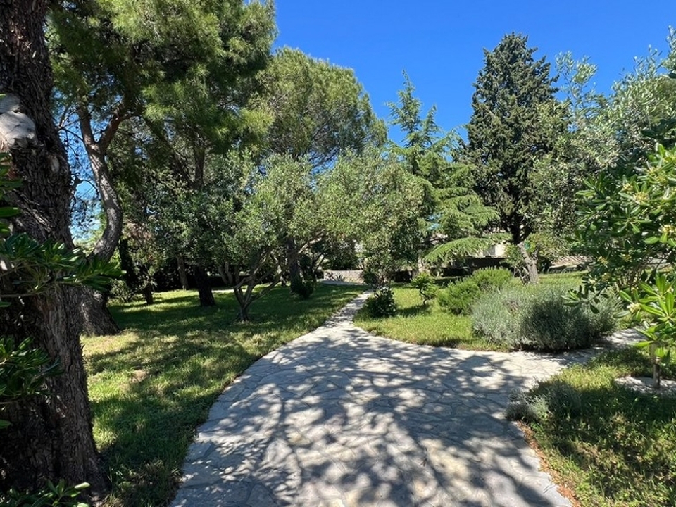 panorama-scouting-H3004-26