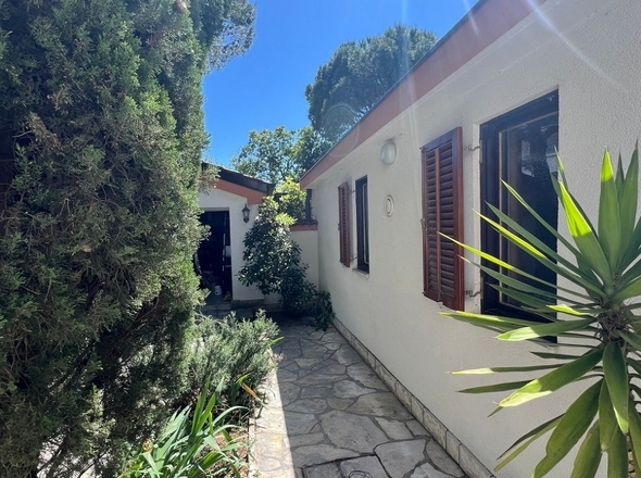 panorama-scouting-H3004-13