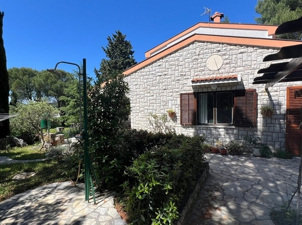 panorama-scouting-H3004-15