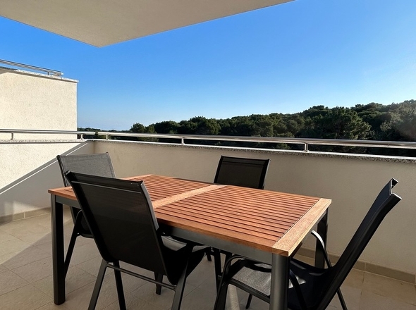 panorama-scouting-A3313-6