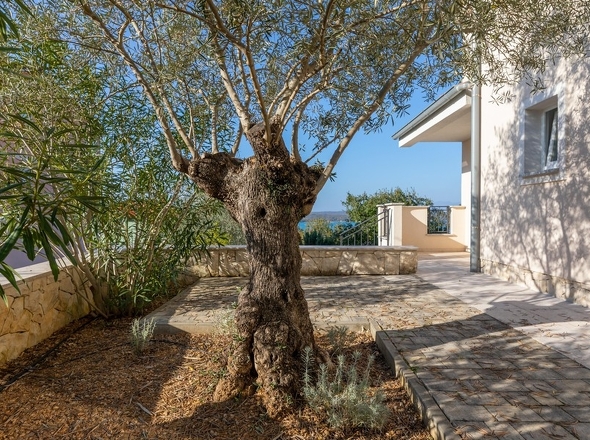 panorama-scouting-H3481-3