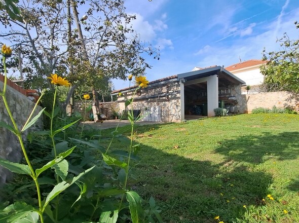 panorama-scouting-H3502-35