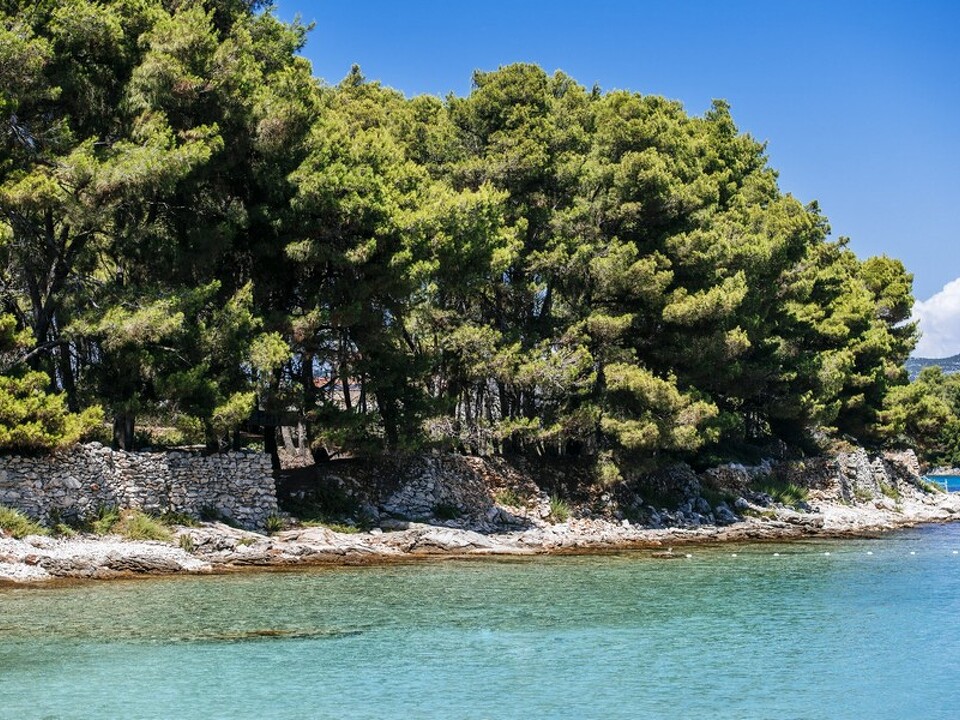 panorama-scouting-H3659-10