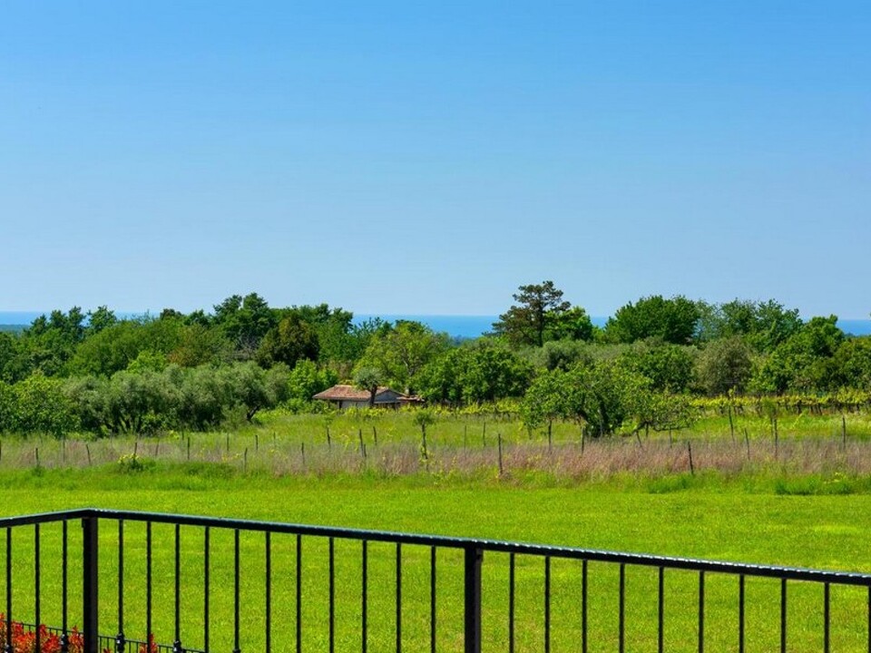 panorama-scouting-H3675-40