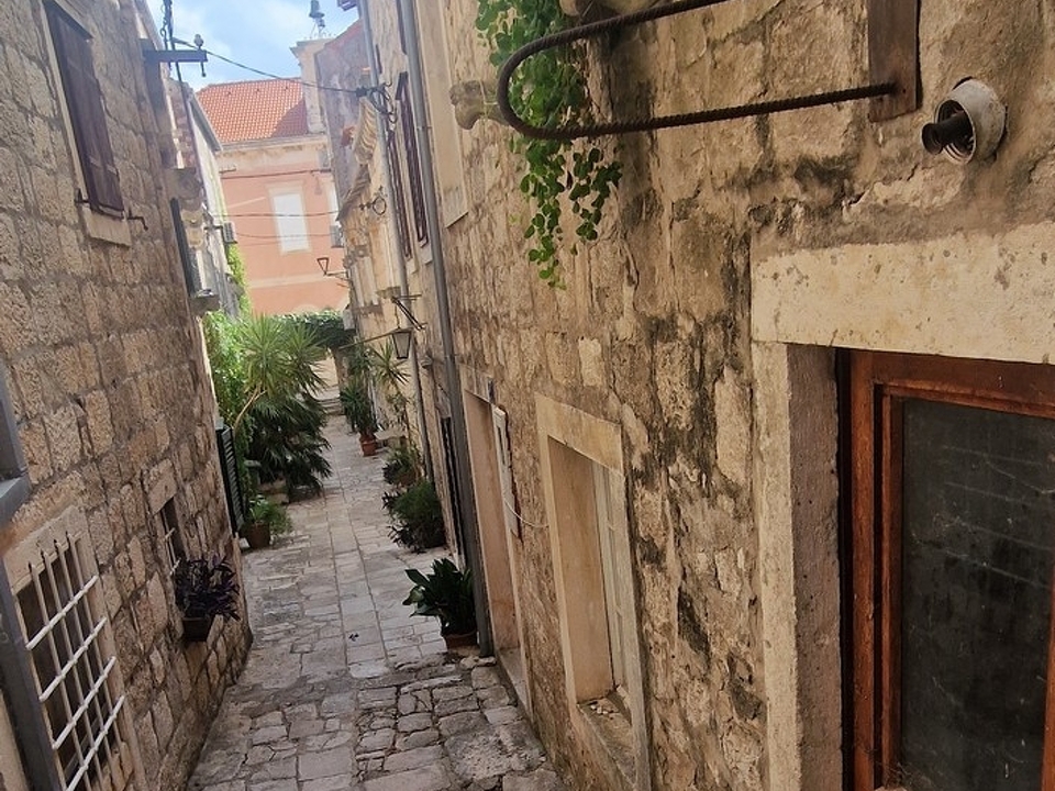 panorama-scouting-H3678-11