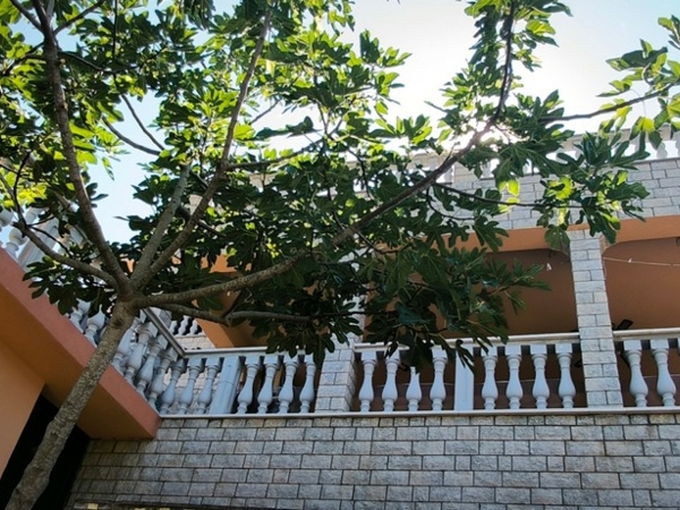 panorama-scouting-H3686-8