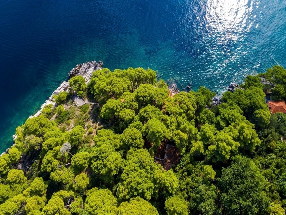 panorama-scouting-H3695-7