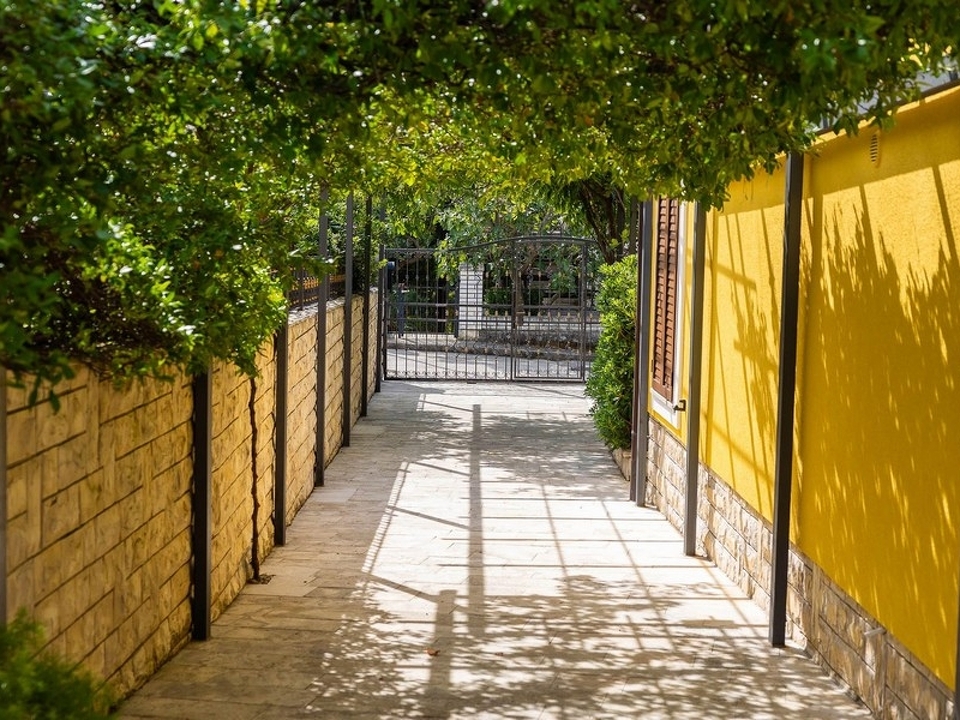 panorama-scouting-H3702-7