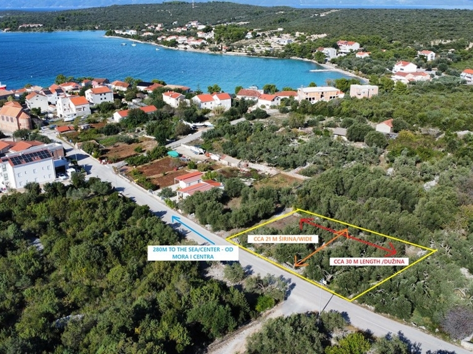 panorama-scouting-G479-7