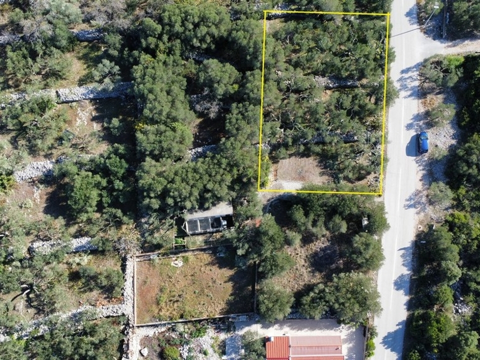 panorama-scouting-G479-2